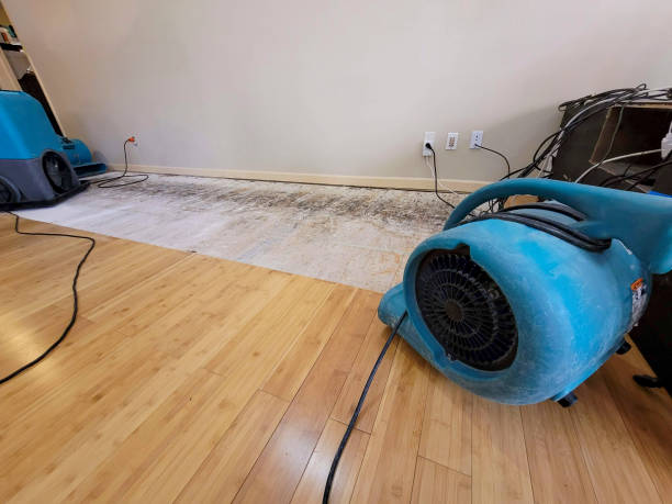 Professional Basement Flood Cleanup technician working in Inverness, IL